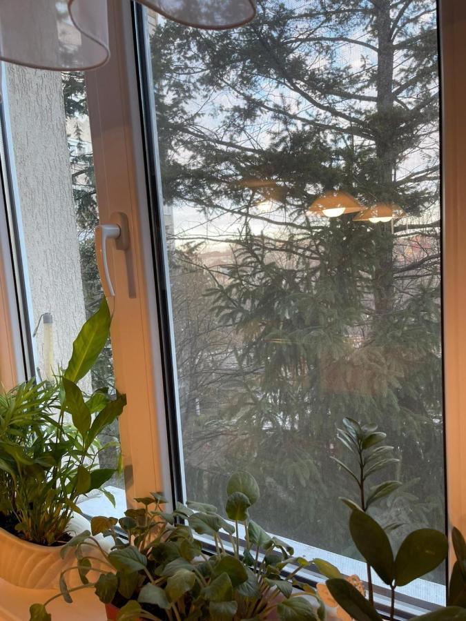 Angels Apartment 拉迪亚 外观 照片